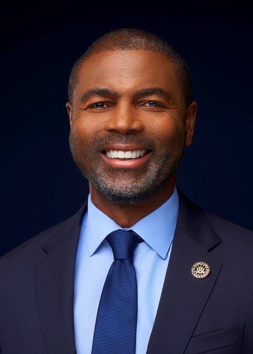 Photograph of Representative  La Shawn K. Ford (D)